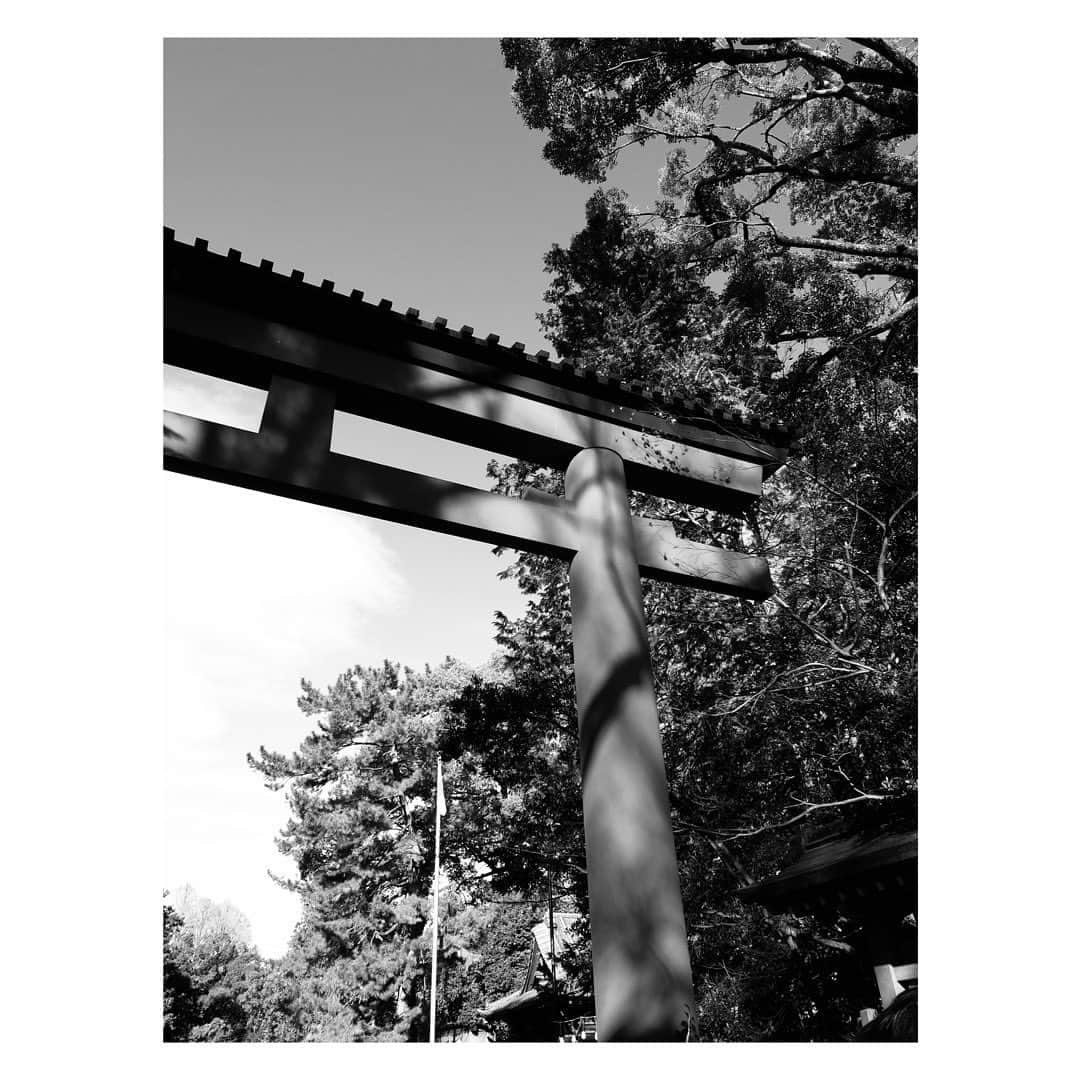 Halさんのインスタグラム写真 - (HalInstagram)「* * The shadows of trees * * 明日から仕事って無理だわー * * #grsnaps #gr_meet_japan #grdigital4 #ricohgr  #igersjp  #jp_gallery_member  #indies_gram #team_jp_モノクロ #wp_bnw  #jj_blackwhite #picturetokeep_bnw #pr0ject_bnw #bnw_of_our_world  #bnw_lightandshadow  #fair_noir  #stars_bw #i_c_part #bwモノクロ写真マニア #bnw_quebec #sharaku_photostudio #tv_pointofview #rustlord_bnw  #streetphotography_bw  #streetphotography #streetsnap #moments_in_streetlife #igworldclub_street #mystreet_bnw  #ricoh_gr_women #shadowpoetry」1月3日 21時44分 - hal_h1010