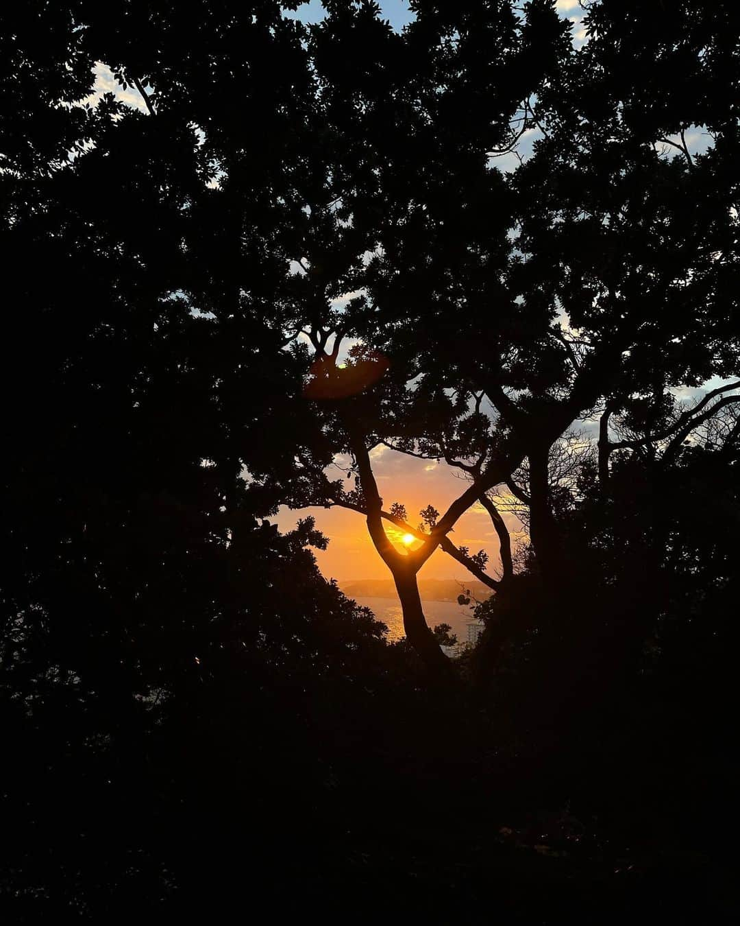 片山萌美のインスタグラム：「🧡  #japan #定期的nature」