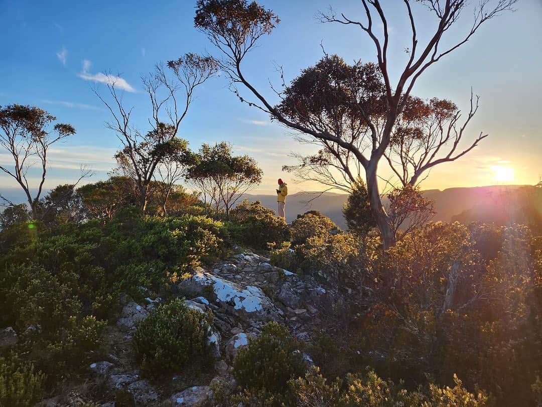 池田沙絵美さんのインスタグラム (池田沙絵美saemi_ikeda)