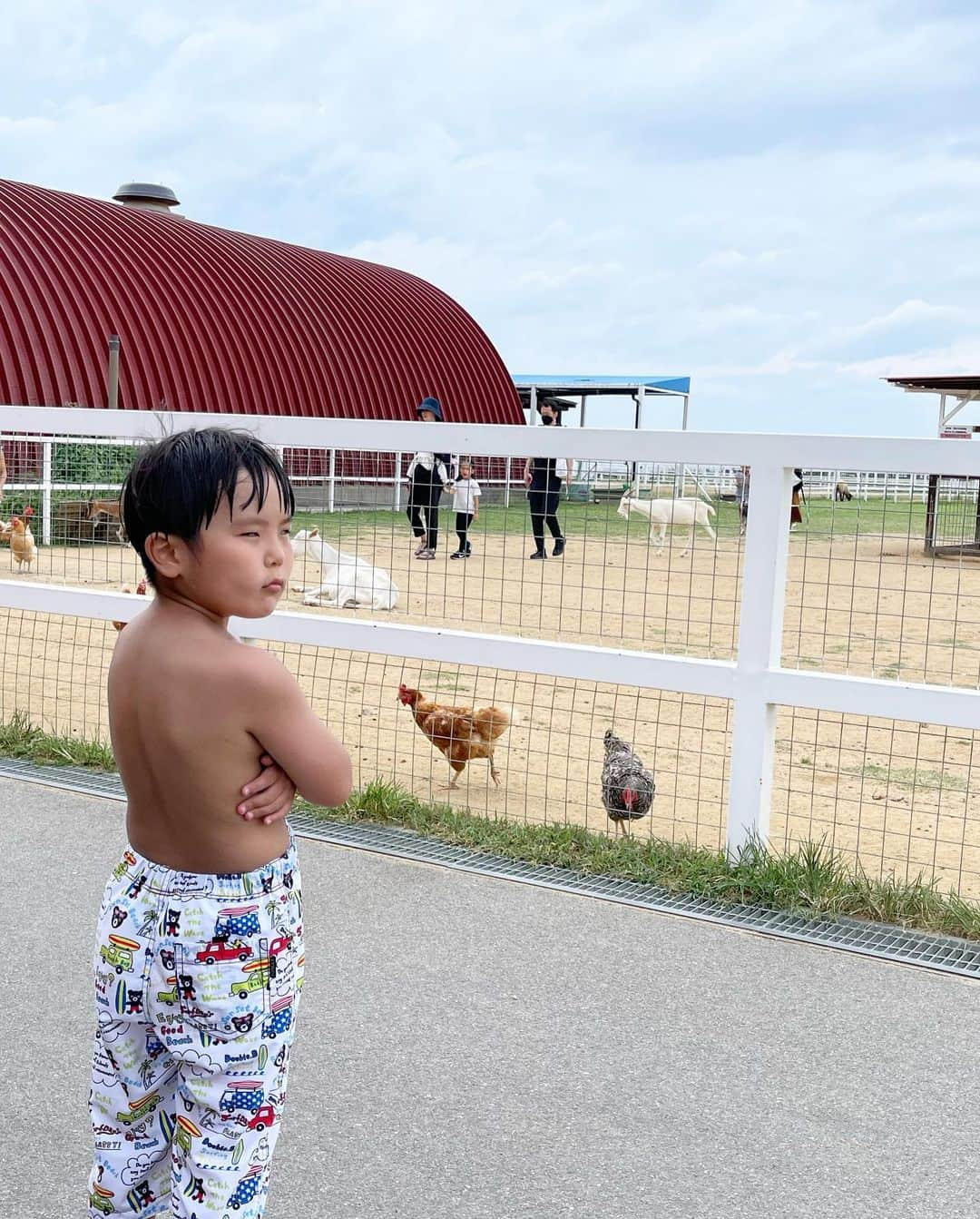 岡本雅世さんのインスタグラム写真 - (岡本雅世Instagram)「🐄🐎🐂🐓🐑  2022.08」1月4日 3時27分 - masayo_okamoto