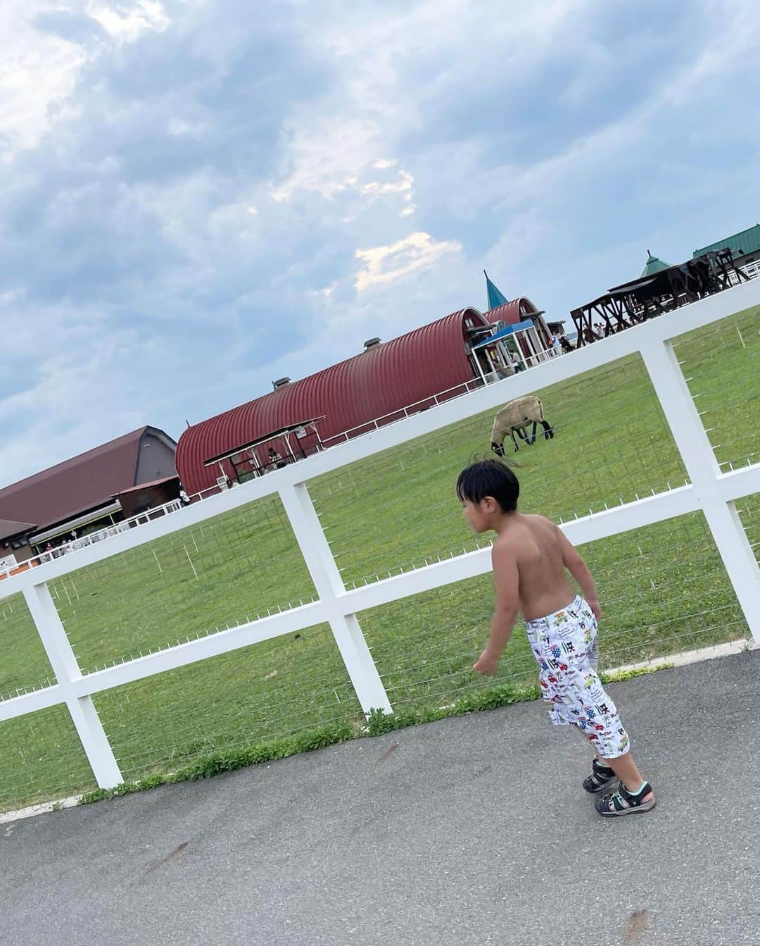 岡本雅世さんのインスタグラム写真 - (岡本雅世Instagram)「🐄🐎🐂🐓🐑  2022.08」1月4日 3時27分 - masayo_okamoto