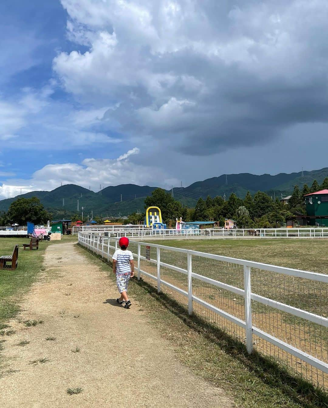 岡本雅世さんのインスタグラム写真 - (岡本雅世Instagram)「🐄🐎🐂🐓🐑  2022.08」1月4日 3時27分 - masayo_okamoto