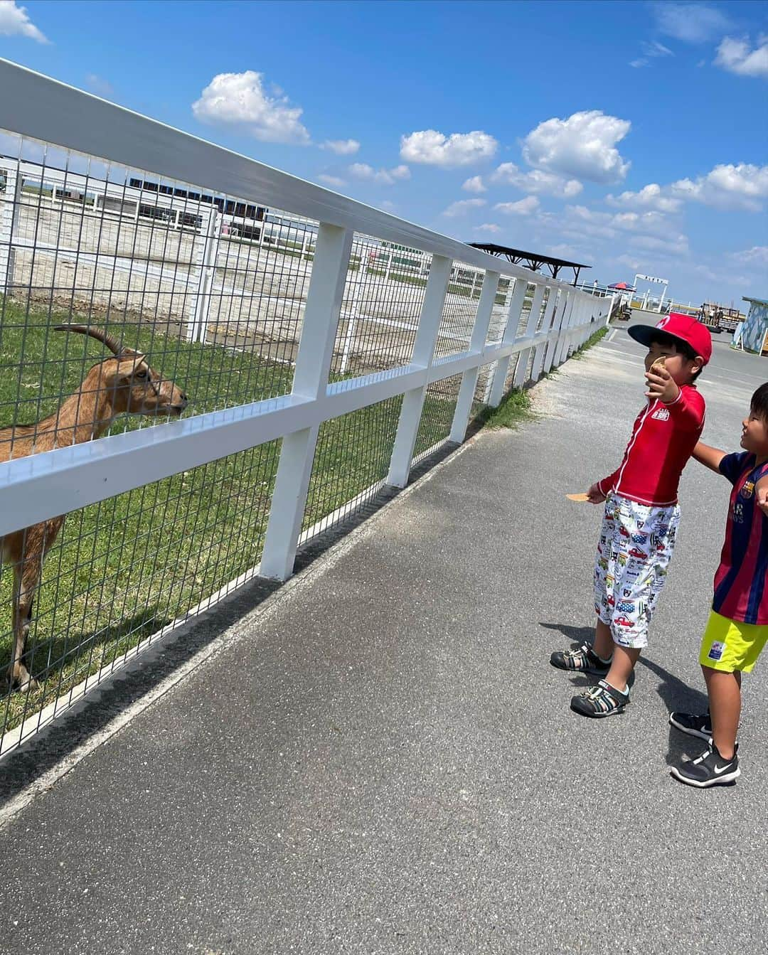 岡本雅世さんのインスタグラム写真 - (岡本雅世Instagram)「ワールド牧場🐂  2022.08」1月4日 4時00分 - masayo_okamoto