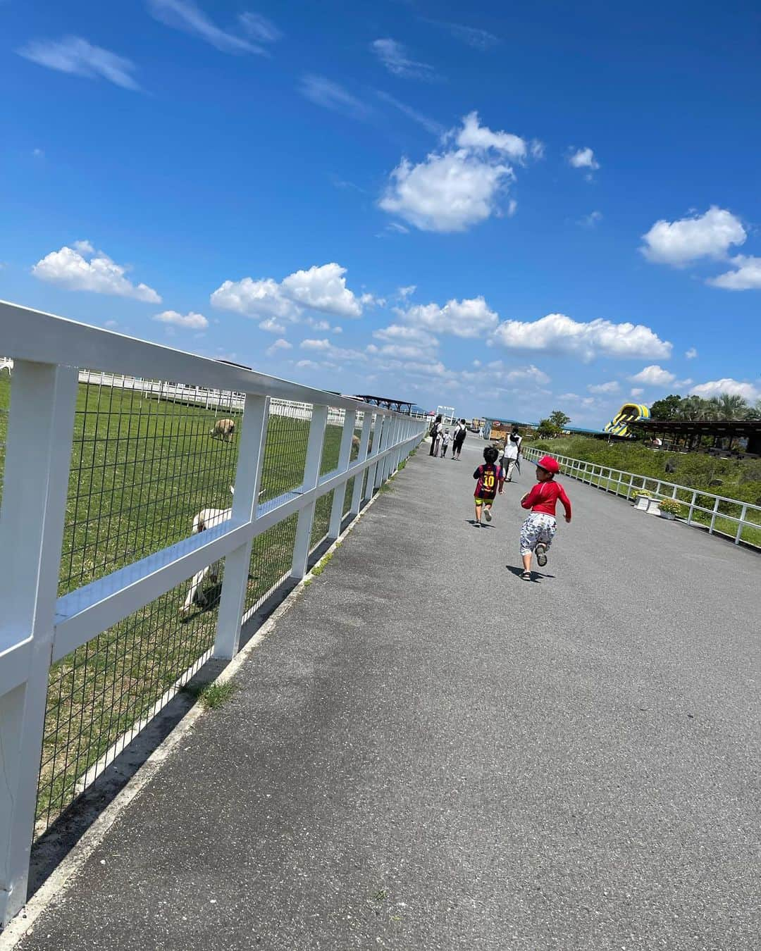 岡本雅世のインスタグラム：「ワールド牧場🐂  2022.08」