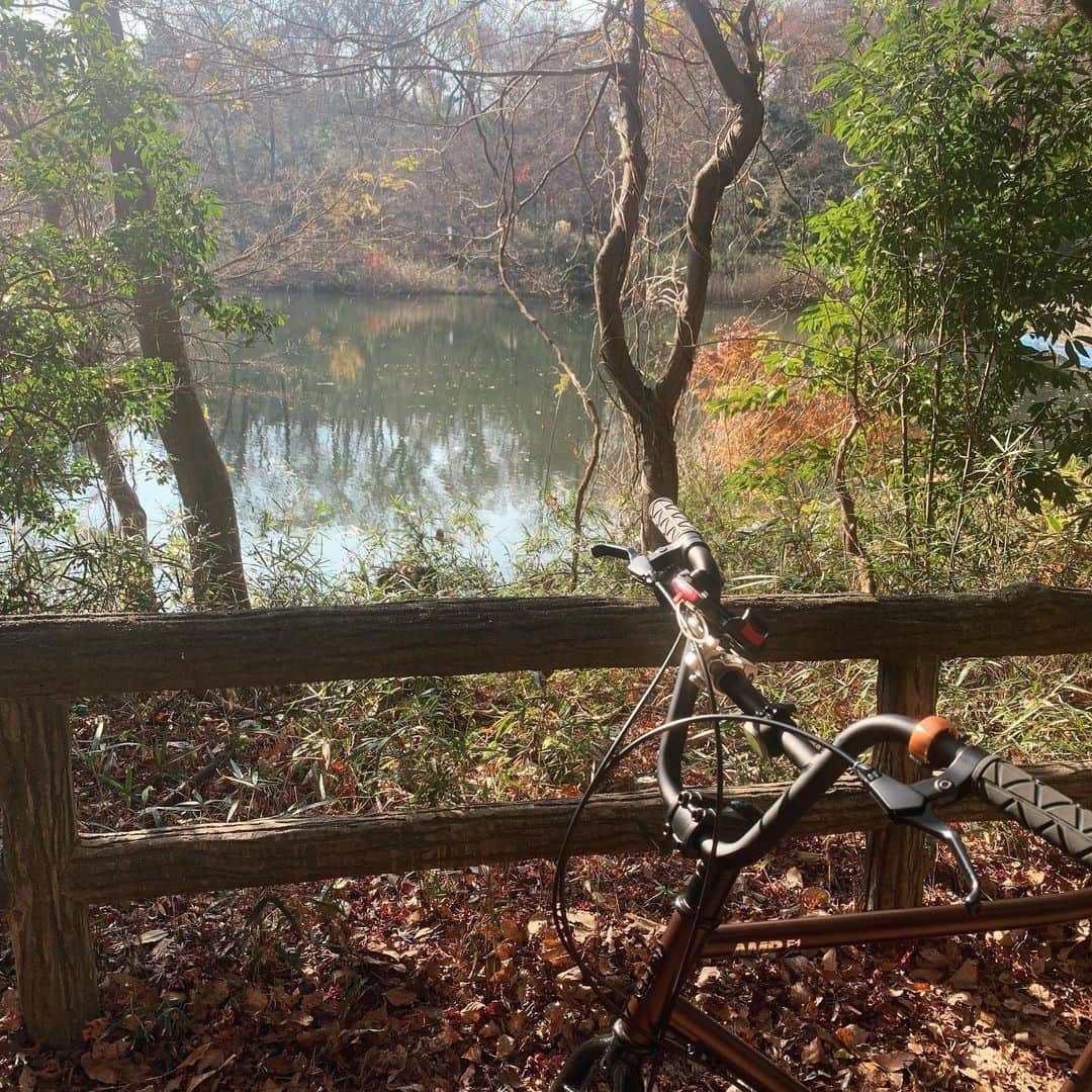 伊阪達也さんのインスタグラム写真 - (伊阪達也Instagram)「車に自転車積んで来ました 多摩湖はぐるっと一周サイクリングロードがあるのです 気持ちいい  #ampf1  #多摩湖 #多摩湖サイクリング」12月11日 13時27分 - tatsuyawr250x