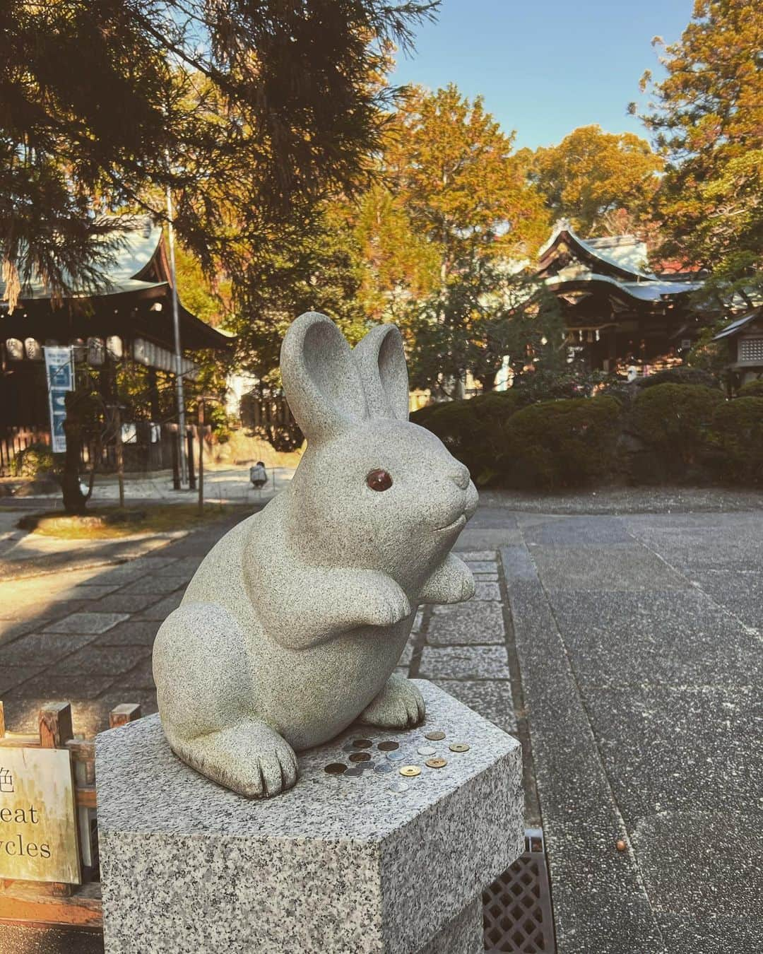 大神いずみさんのインスタグラム写真 - (大神いずみInstagram)「姪の結婚式。 2人のお祖父さんが手を携えて晴らしたと思われる雲ひとつないお天気の下、 私の可愛い姪っ子が京都・平安神宮で結婚式を挙げました。  ちょうど23年前の私の結婚式には、当時3歳だった姪が物怖じもせず小さな手で花束を運んできてくれました💐  ふぁ😱💦 あれから23年も経っとる:(；ﾞﾟ'ωﾟ'):⁉️  あなたやっぱ他人だよね…ってお互い思いながら，いろぉんなことを毎日一緒に乗り越えていく結婚生活はあっという間です😓  それにしても今日、 お式の前に集合してから披露宴がお開きになるまで、 実の兄のものすごい早い壊れ方にびっくりだ😵  だけどこの叔母にとっても、今まで見たことがないほど美しい花嫁姿の我が姪に，終始目頭を熱くしておりました。  おめでとう，姪！  叔母はこれからもあなたの人生の応援団、関東支部の部長です！ これからもお仕事と家庭の両立、 頑張ってね(^_−)−☆  久々の京都は温かな日差しに紅葉が映える，本当に素敵な季節を迎えています。  ウサギを祀った『岡崎神社』にお参りして、今年最後の願かけをしてきました！  おー。来年は卯年🐇  …優勝だぁーーっ！！  気がついたら『京都』といえば必ず足を運んでしまう鯖寿司の名店『いづう』に寄っていく途中、白ぜんざいまで堪能してしまっているアタキシ。  抜かりない。  こんな短い滞在中にも美味しいものを諦められない…  京都最高ー✨✨‼️  #いい結婚式だったなぁ #花嫁の母でもおかしくない自分の歳に改めて驚く #un3dのドレスを着たよ #平安神宮 #岡崎神社 #あのん祇園本店」12月11日 6時37分 - izumi_ogami