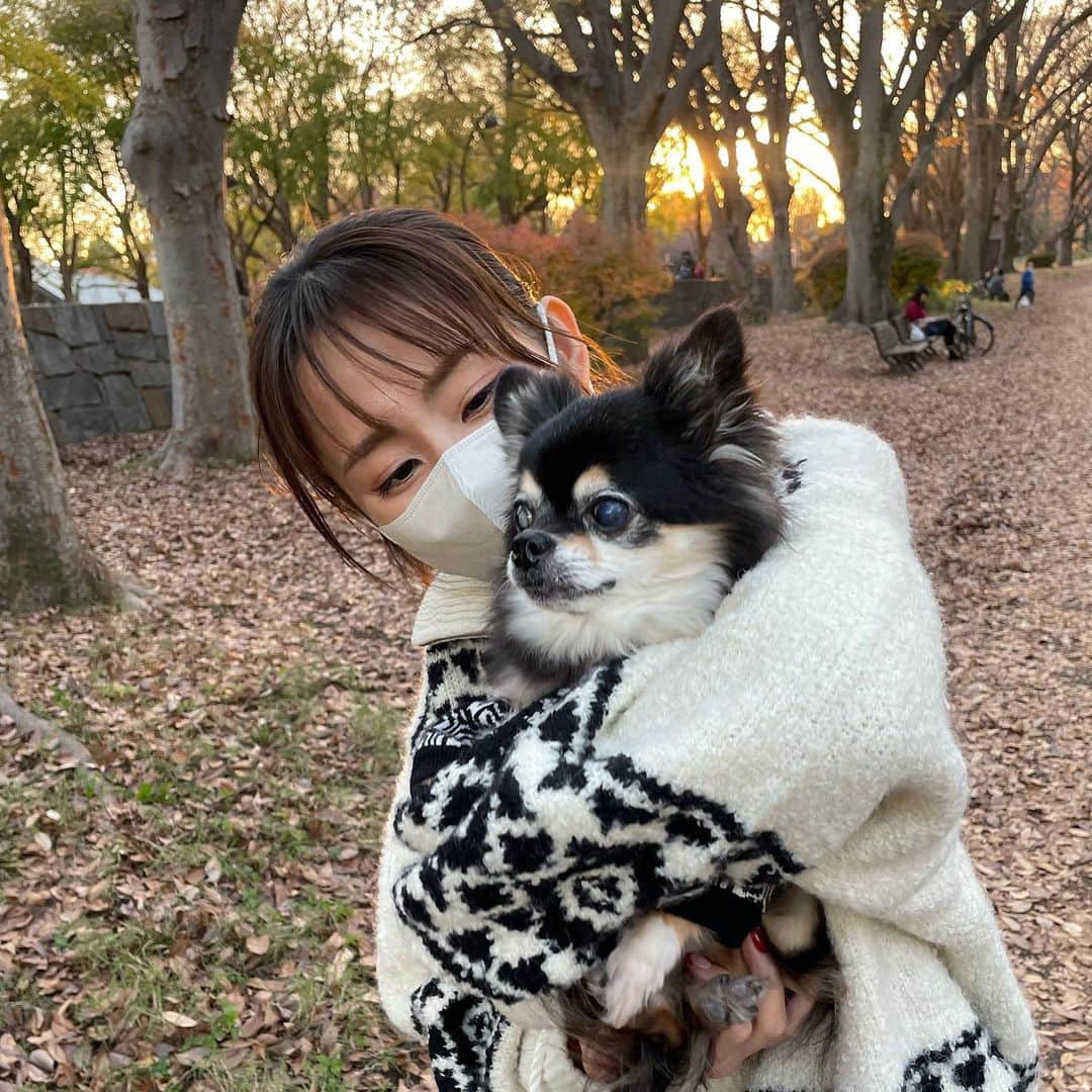 前田ゆうのインスタグラム：「さむくなってきましたねー🐶✨🐕いろんなワンちゃんにこんにちわ！できたね^ ^ 公園はワンチャンや子どもたちがたくさんいるからかわいいかわいい😍♡で癒されまくりました😊 しかしたくさんあるいたね🐶 愛犬の写真をとるのに必死な飼い主の影をそえて😌」