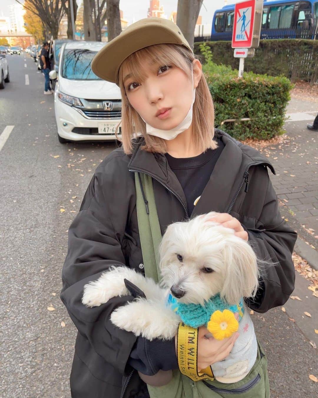 霜月めあのインスタグラム：「ノブくんとお出かけした日の写真🐶❤️ 天気良くて良かったね🙆‍♀️ . . . . #霜月めあ #めあめあ #model #sexy #selfie #animegirl #셀카 #셀스타그램 #패션스타그램 #데일리 #asiangirl #cosplay #좋아　#instalove #follow #like #tokyo #ootd #style #photo #sexybody #love #맞팔 #tagsforlikes  #Japanesegirl #photooftheday #igers #instadaily #グラビア #日系穿搭」