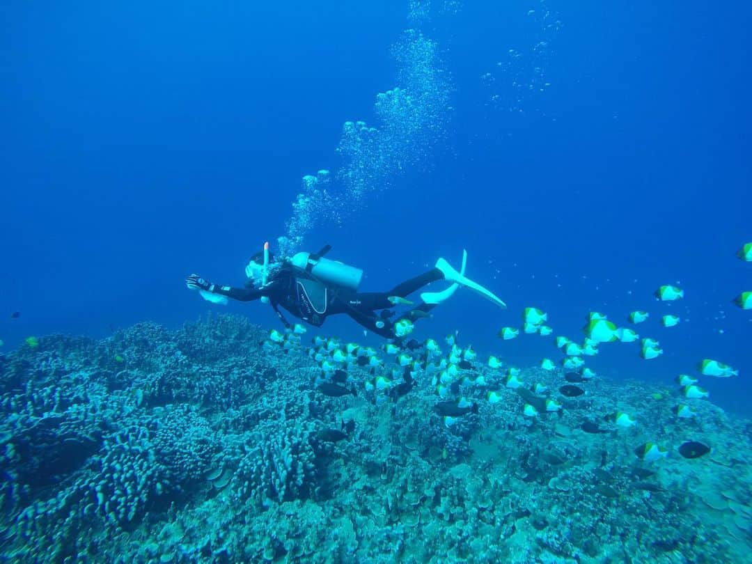 落合砂央里さんのインスタグラム写真 - (落合砂央里Instagram)「3年前の今頃はサイパンでダイビング🐠  初めてのサイパンは海がとっても綺麗でご飯も美味しくて、程よく田舎だけど必要な物は揃っていて、ステキな島でした。  毎日朝早くからダイビングに行って、シャワーを浴びて夕方にはご飯を食べに行く🍺 今思い出しても最高に健康的。また行きたい！  この時はスカイマークのキャンペーンで片道なんと3800円でサイパンへ行きました(しかも直行便) 今じゃ考えられないこの価格…またやってくれないかな🥺  #サイパン #ダイビング #grotto #スカイマーク #サイパンスペシャル」12月11日 23時20分 - ochiaikun