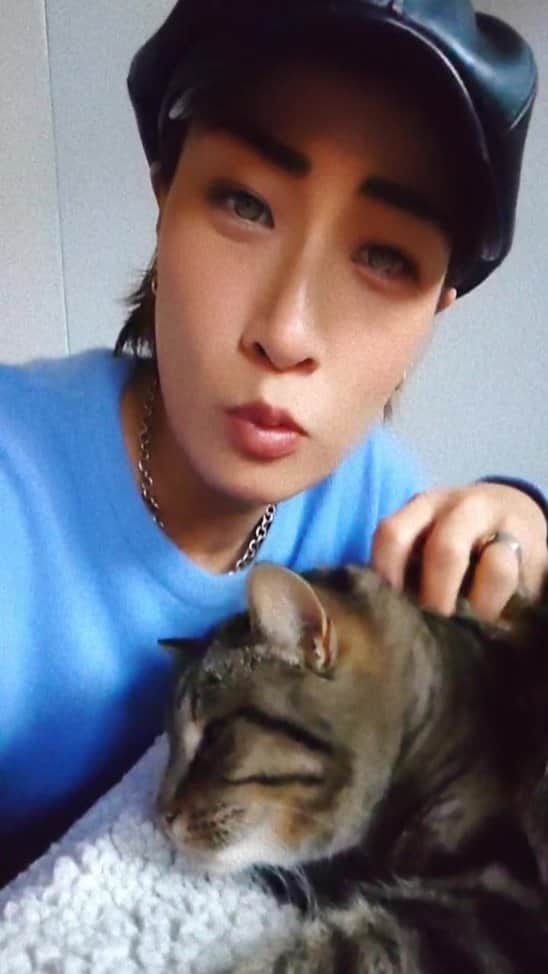 REGSTYLEのインスタグラム：「猫派になりかけてる、なう(ΦωΦ)💭❤️ in🇧🇪  💄紹介したリップは @cobigelow  @cobigelowjp   ここだよ〜🫰🏼💋 キスしたくなる唇づくりにどうぞ🙏🏼」