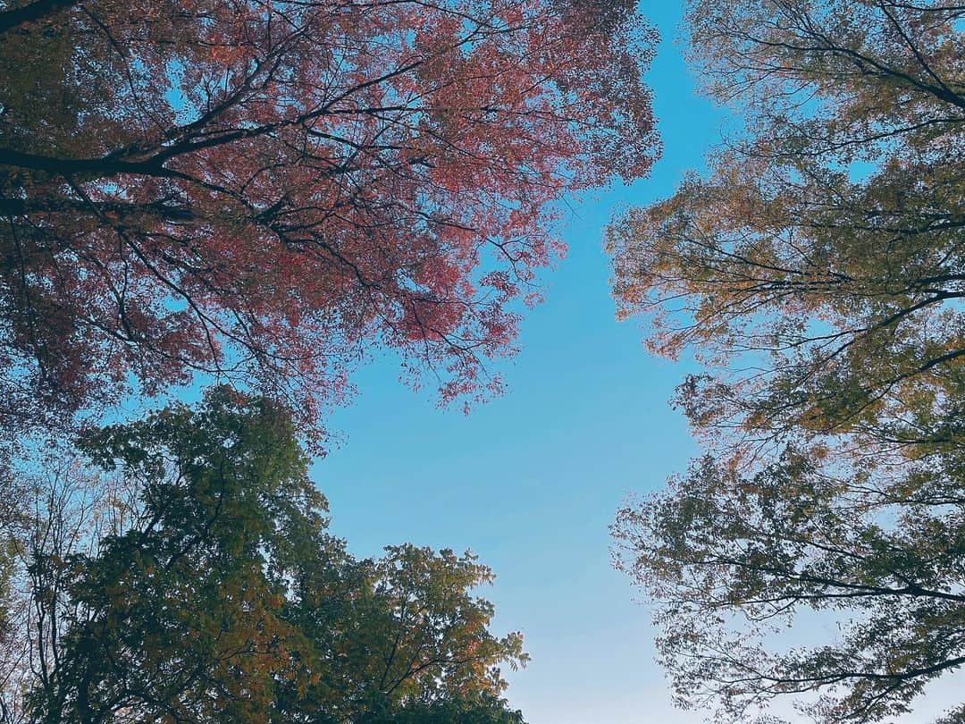 傳谷英里香のインスタグラム：「🚥 ⁡ しゃべります？」