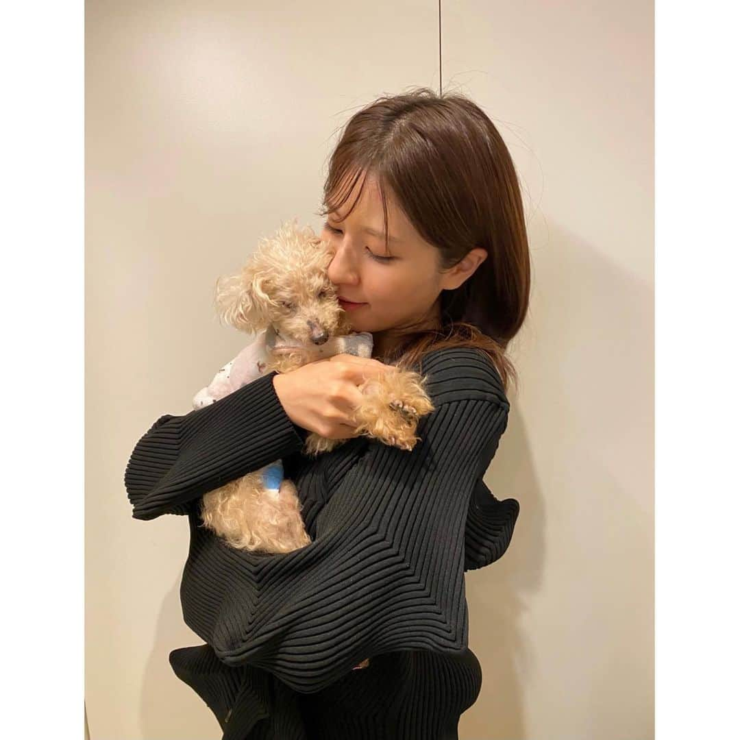 堤礼実さんのインスタグラム写真 - (堤礼実Instagram)「🐩🎂 先日、我が家のりんさんが19歳になりました！ これからも元気で楽しい毎日を過ごせますように…♡ りんちゃんいつもありがとう💓 . そして私も先月29歳となりました。 20代最後の1年、何事にも全力で、笑顔で過ごしたいと思っています！ 今後ともどうぞ宜しくお願い致します🤲  . #19歳と29歳 #あんさんも一緒にお祝い #今年は特別に2匹にそっくりなケーキを🎂 #耳のつき方まで細かく再現されていて、たまらなく可愛いケーキでした🥺」12月11日 18時21分 - reimi_tsutsumi1123