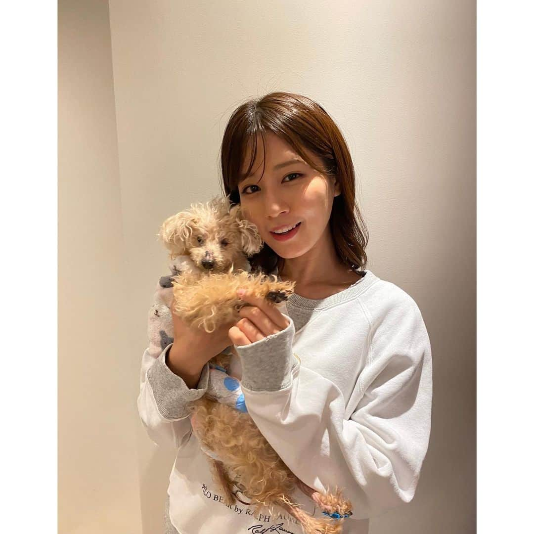 堤礼実さんのインスタグラム写真 - (堤礼実Instagram)「🐩🎂 先日、我が家のりんさんが19歳になりました！ これからも元気で楽しい毎日を過ごせますように…♡ りんちゃんいつもありがとう💓 . そして私も先月29歳となりました。 20代最後の1年、何事にも全力で、笑顔で過ごしたいと思っています！ 今後ともどうぞ宜しくお願い致します🤲  . #19歳と29歳 #あんさんも一緒にお祝い #今年は特別に2匹にそっくりなケーキを🎂 #耳のつき方まで細かく再現されていて、たまらなく可愛いケーキでした🥺」12月11日 18時21分 - reimi_tsutsumi1123