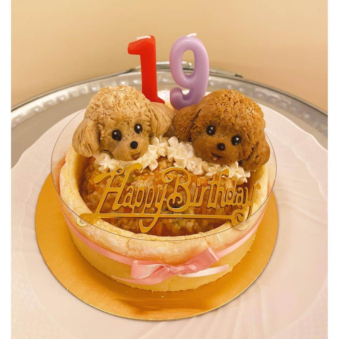 堤礼実さんのインスタグラム写真 - (堤礼実Instagram)「🐩🎂 先日、我が家のりんさんが19歳になりました！ これからも元気で楽しい毎日を過ごせますように…♡ りんちゃんいつもありがとう💓 . そして私も先月29歳となりました。 20代最後の1年、何事にも全力で、笑顔で過ごしたいと思っています！ 今後ともどうぞ宜しくお願い致します🤲  . #19歳と29歳 #あんさんも一緒にお祝い #今年は特別に2匹にそっくりなケーキを🎂 #耳のつき方まで細かく再現されていて、たまらなく可愛いケーキでした🥺」12月11日 18時21分 - reimi_tsutsumi1123