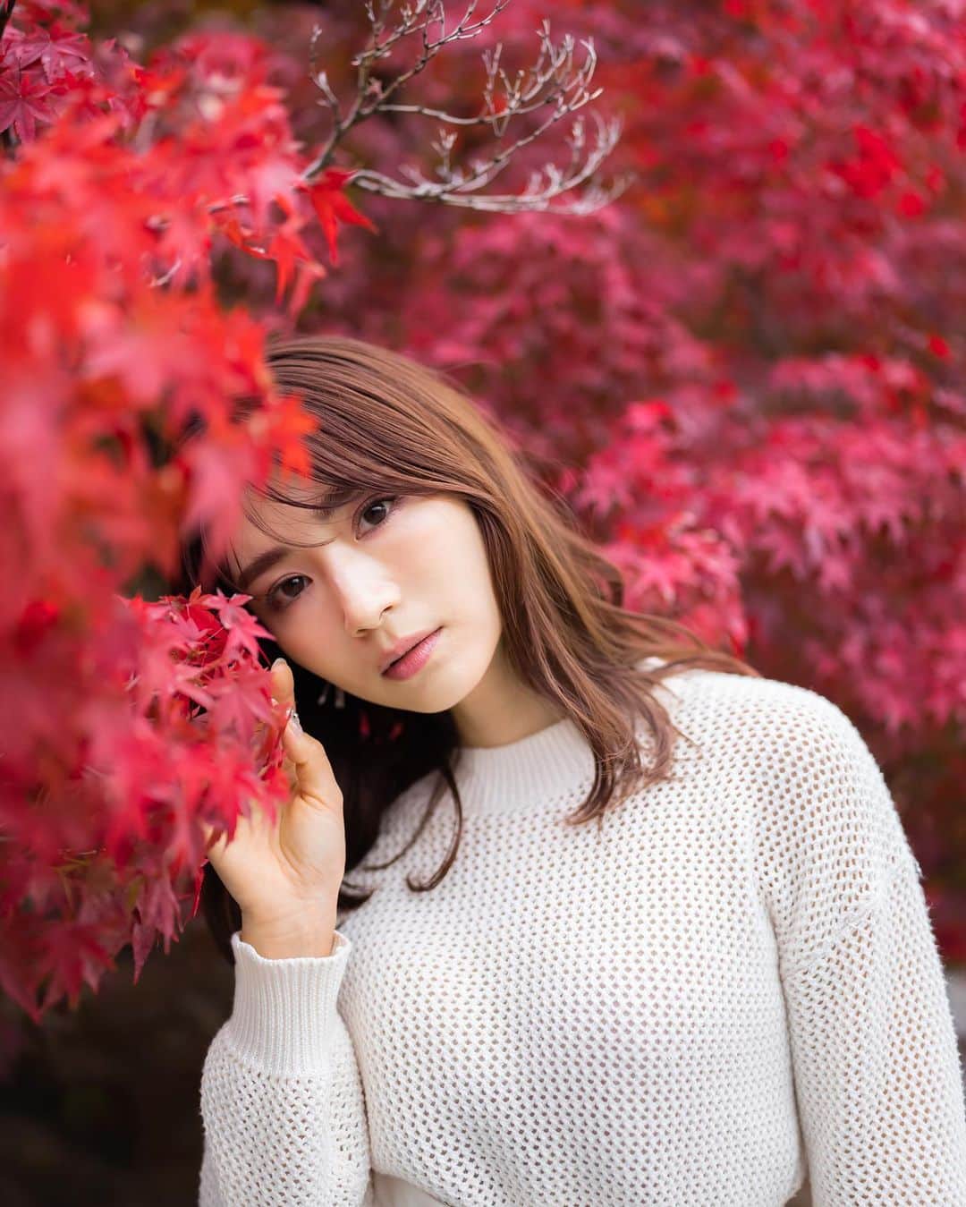 有川さとこのインスタグラム：「. @shiba_photo   ＊  #紅葉 #🍁」
