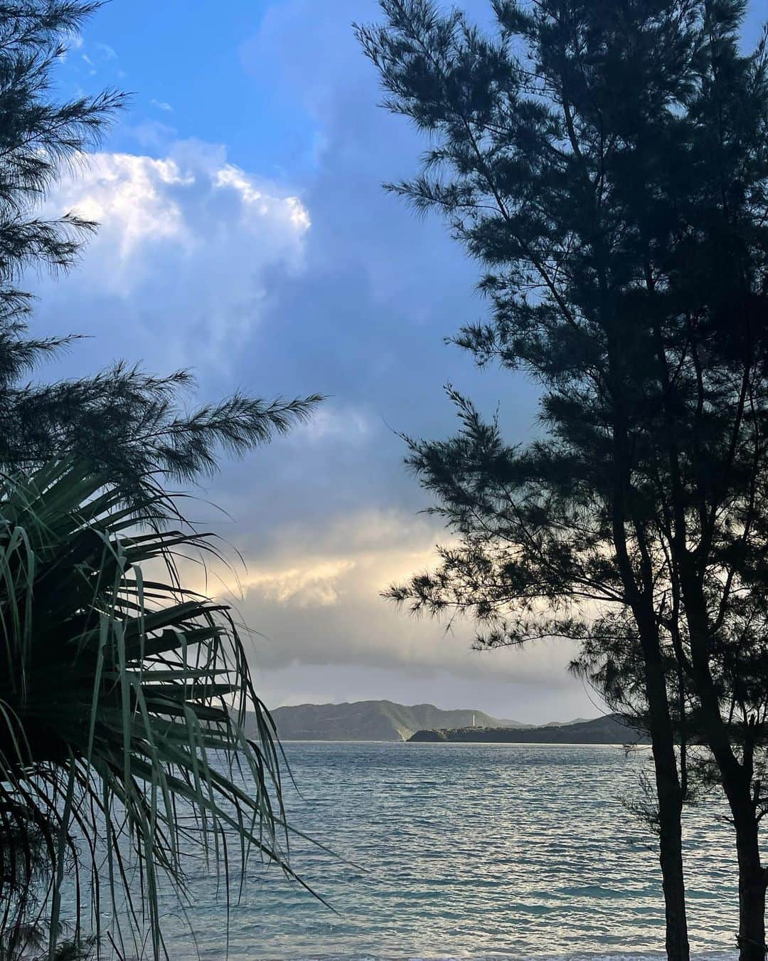 大島央照さんのインスタグラム写真 - (大島央照Instagram)「約10年ぶりの奄美大島。  初日は雨、滞在中は曇りと言われていましたが、虹、光、月、雲etc..色んな景色が見えました。  私にとって、初めての大きなプロジェクトで撮影に行ったのが、かれこれ20年くらい前、ご縁を感じた時でしたー。  今回短い時間でしたが、肩の力も抜けて、リセットできた気分になれました✨  感謝しております☺️✨  #奄美大島 #amamioshima  #奄美 #サンセット #サンライズ #月 #光 #虹 #happy」12月12日 6時59分 - chiakioshima