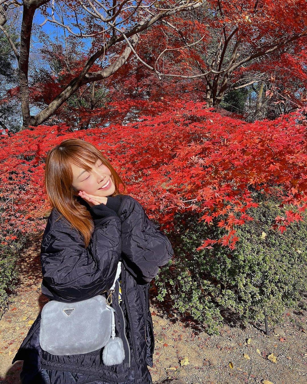 あやなんのインスタグラム：「岡崎城公園にいったら超綺麗な紅葉に遭遇🍁」