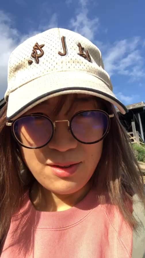 のインスタグラム：「民宿はし本なう」