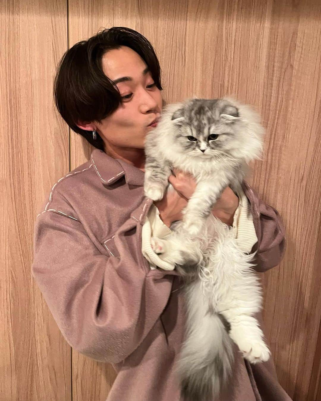 花沢将人のインスタグラム：「人んちの猫やしあざとい写真で申し訳ないがこんなのも一枚くらい載せとこ思って。すんません。猫も犬もどっちも好きです。今のYouTube関連動画は動物か格闘技かサッカーです。」