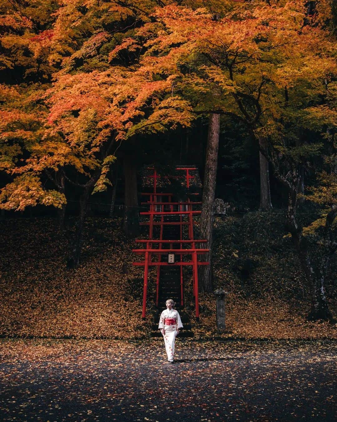 deepskyのインスタグラム：「Authmn Leaves in Kyoto  . . #kyoto #authmn #kimono #京都 #秋 #紅葉 #着物 . . .  #awesomephotographers  #complexphotos  #sonyalpha  #beautifuldestinations #landscapephoto #landscapelovers #travel #roamearth #photography」