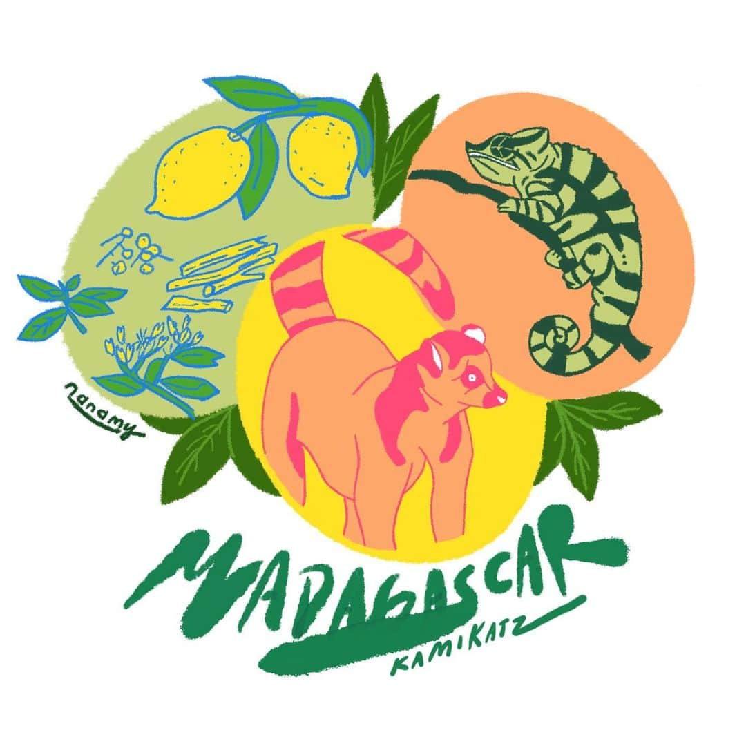 nanamyさんのインスタグラム写真 - (nanamyInstagram)「Label design for "Madagascar Spice Lemonade Saison" 🍋🍻🍋Happy to work with my favorite team and project twice a year! 1年に2度も携われた想いの詰まったチームの皆さんとの上勝ビールのデザイン、来年こそ現地を見に、whyに泊まりに行きたい🌳 @why.kamikatsu   Thank you to all the team 💚@farmer_you.project @kamikatz_beer @sayafull @ayumi_tao_obama @coen.mg @shota_zoeike」12月12日 22時24分 - nanamy