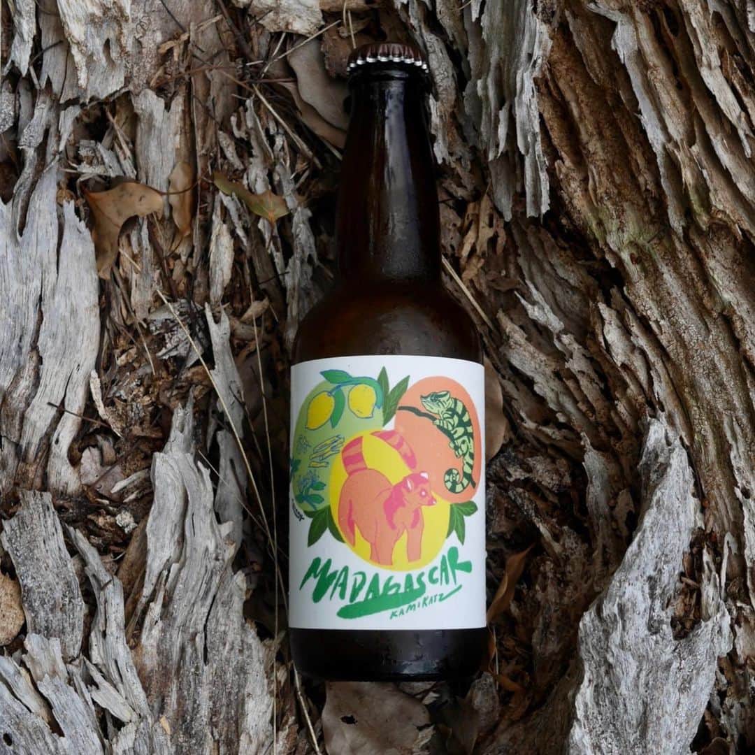 nanamyのインスタグラム：「Label design for "Madagascar Spice Lemonade Saison" 🍋🍻🍋Happy to work with my favorite team and project twice a year! 1年に2度も携われた想いの詰まったチームの皆さんとの上勝ビールのデザイン、来年こそ現地を見に、whyに泊まりに行きたい🌳 @why.kamikatsu   Thank you to all the team 💚@farmer_you.project @kamikatz_beer @sayafull @ayumi_tao_obama @coen.mg @shota_zoeike」