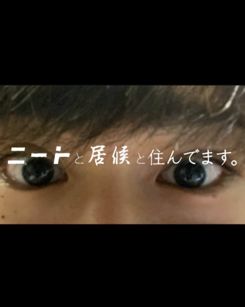 のインスタグラム：「ニートと居候とたかさき めっちゃ好きです。。」