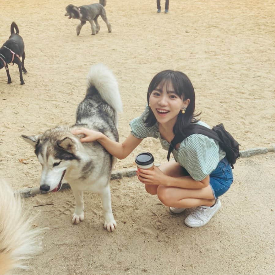 野村麻衣子のインスタグラム：「夏の思い出シリーズ🗽🐕私喜びすぎ セントラルパークは犬天国でした」