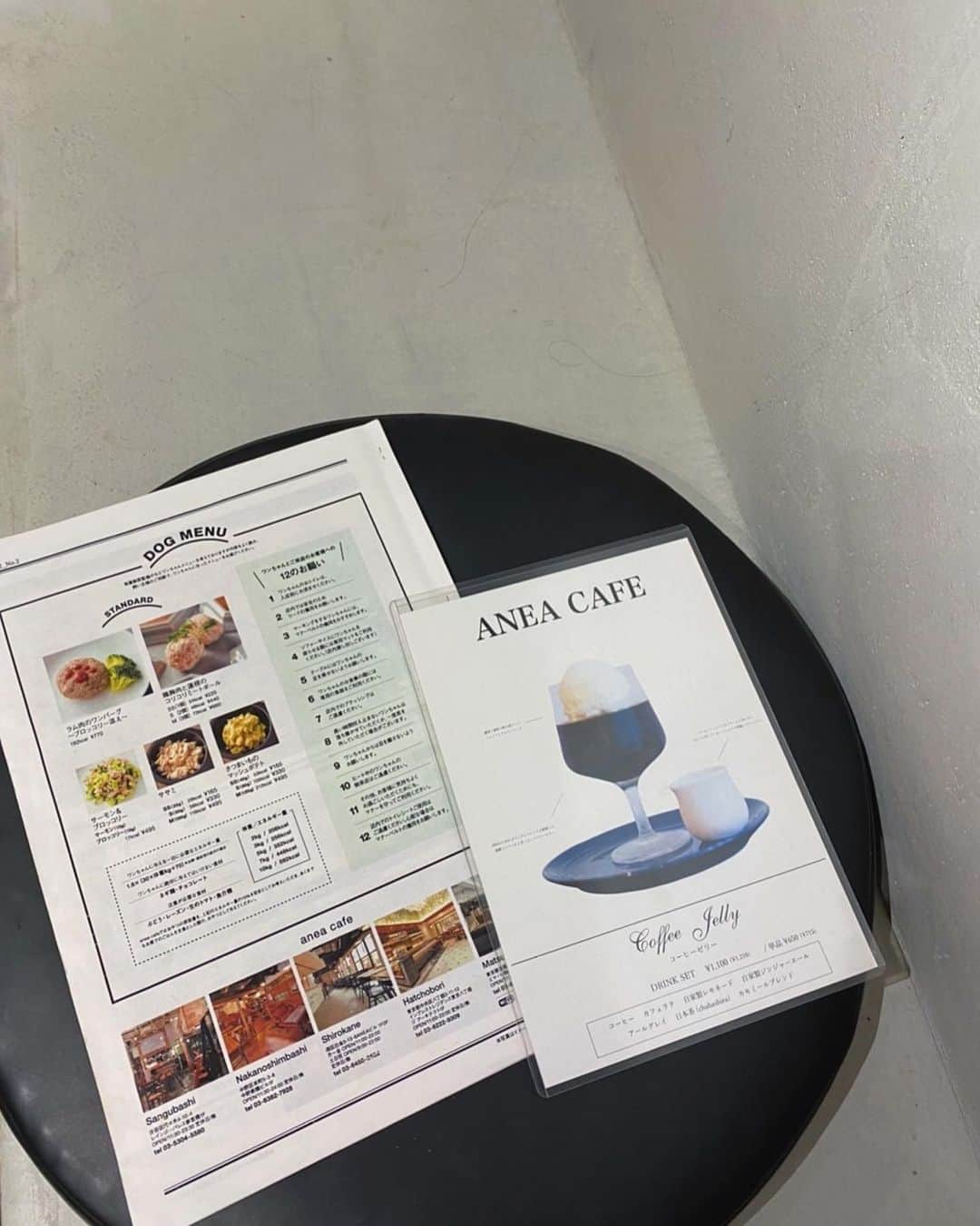 Arika Kuriharaのインスタグラム：「おしゃれcafe☕️  前あゆとたまたま入ったカフェがSilentの撮影場所で今さらうれしさ込み上げ🫣🤍笑  #ANEACAFE松見坂#silent」