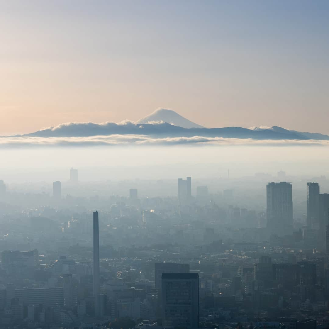 Tokyo City View 六本木ヒルズ展望台さんのインスタグラム写真 - (Tokyo City View 六本木ヒルズ展望台Instagram)「本日、スカイデッキから雲海を望むことができました！ 9年にもわたり、年に約100回以上もスカイデッキに通って撮影をされている荒谷良一さんも、これまで見たことのない大変貴重な光景だそうです✨ 撮影：荒谷良一 ・ スカイデッキでは「天空のクリスマス2022」を開催中🎄🎅 期間：開催中～ 12/25（日） 会場：スカイデッキ、東京シティビューほか（六本木ヒルズ森タワー屋上、52階） 時間：スカイデッキ 13:00～22:00（最終入場 21:30）※営業時間変更、東京シティビュー 10:00～22:00（最終入館 21:00）  #雲海 #六本木ヒルズ展望台 #スカイデッキ #六本木ヒルズ #展望台 #絶景 #景色 #天空のクリスマス #クリスマス #seaofclouds #SkyDeck #TCV #Tokyo #tokyocityview #荒谷良一 #ryoichiaratani #japantravel #tokyo #roppongi #ChristmasintheSky #ChristmasintheSky2022 #Christmas #travelgram #japantrip #japan_daytime_view #japan_night_view #japan_of_insta #bestjapanpics #tokyomuseum #artoftheday」12月13日 21時00分 - tokyocityview