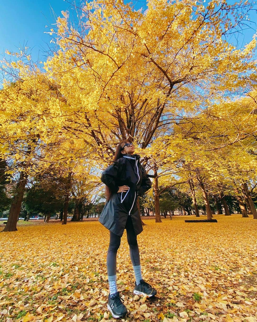 ソフィア・グリーンウッドのインスタグラム：「✨✨✨ 雨上がりでキラキラしてた🌦 #ginkgo #tree #銀杏 #銀杏並木 #イチョウ #イチョウ並木 #撮影 #ootd ⇩⇩⇩ #adidas 🧤 #nike 🩳 #puma 👖 #underarmour 👟 #stellamccartney 🧥 #センス皆無のごった煮コーデ #インフルエンサーへの道のり5億km #とにかく臭かった #サンキューイチョウ」