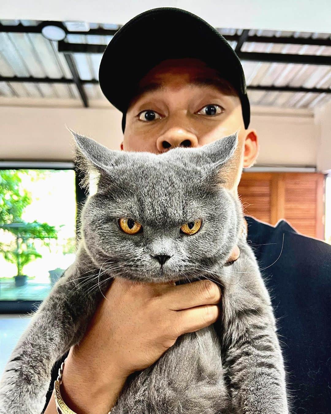 トニー・ジャーのインスタグラム：「Seriously 🐈🐈🐈  หน้าอย่างโหด แต่อยู่ในโหมดมุ้งมิ่ง 😎😎😎」