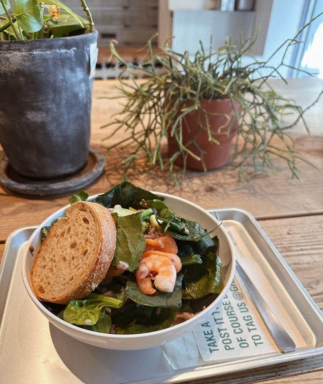 桃衣香帆のグルメインスタ