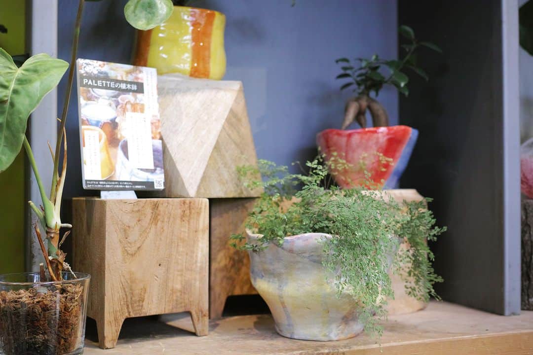 平成医療福祉グループのインスタグラム：「当グループの障がい者支援施設「PALETTE（@palette_hmw）」で制作した植木鉢の取り扱いが、「SOLSO PARK（@solsopark）」の店頭と、オンラインショップ「SOLSO GREEN MARKET（@solsogreenmarket）」にてスタート！💪  PALETTE内の陶芸工房にて利用者さんが制作した植木鉢と観葉植物がセットで購入いただけます🪴  ぜひ、店頭やオンラインで、PALETTEの作品をお確かめください。 くわしくは、プロフィールのリンクをご覧ください👆  ※本投稿に掲載している写真の商品は取材時に販売中のものです。 ※タイミングによっては売り切れていることもありますのでご了承ください。  === ＜SOLSO PARK＞ 〒107-0062 東京都港区南青山1-12-13 03-6812-9770  【営業時間】 11:00〜17:00（平日） 10:00〜17:00（土日祝）  https://solsofarm.com/ ※営業についての詳細は上記サイトをご確認ください  =  ＜SOLSO GREEN MARKET＞ https://solsogreenmarket.com/  ===  ＜PALETTE＞ 〒532-0021 大阪府大阪市淀川区田川北1-7-5 TEL 06-6305-2555 FAX 06-6305-2557  PALETTE サイト https://palette-osaka.com/  Instagram https://www.instagram.com/palette_hmw/  オンラインストア https://palette-osaka.stores.jp/  === #平成医療福祉グループ #HMW #絶対に見捨てない #医療 #福祉 #障がい者福祉 #palette_hmw #palette_store_hmw #大阪府 #大阪市 #淀川区 #十三駅 #就労継続支援b型 #生活介護 #就労継続支援b型事業所 #障がい者施設 #障がい者支援 #アールブリュット #アウトサイダーアート #陶芸 #陶芸工房 #植木鉢 #植物のある暮らし #多肉植物 #solsopark #solso #keepgreen # #ぜひ実物を #店頭でもオンラインでも 🪴😉」