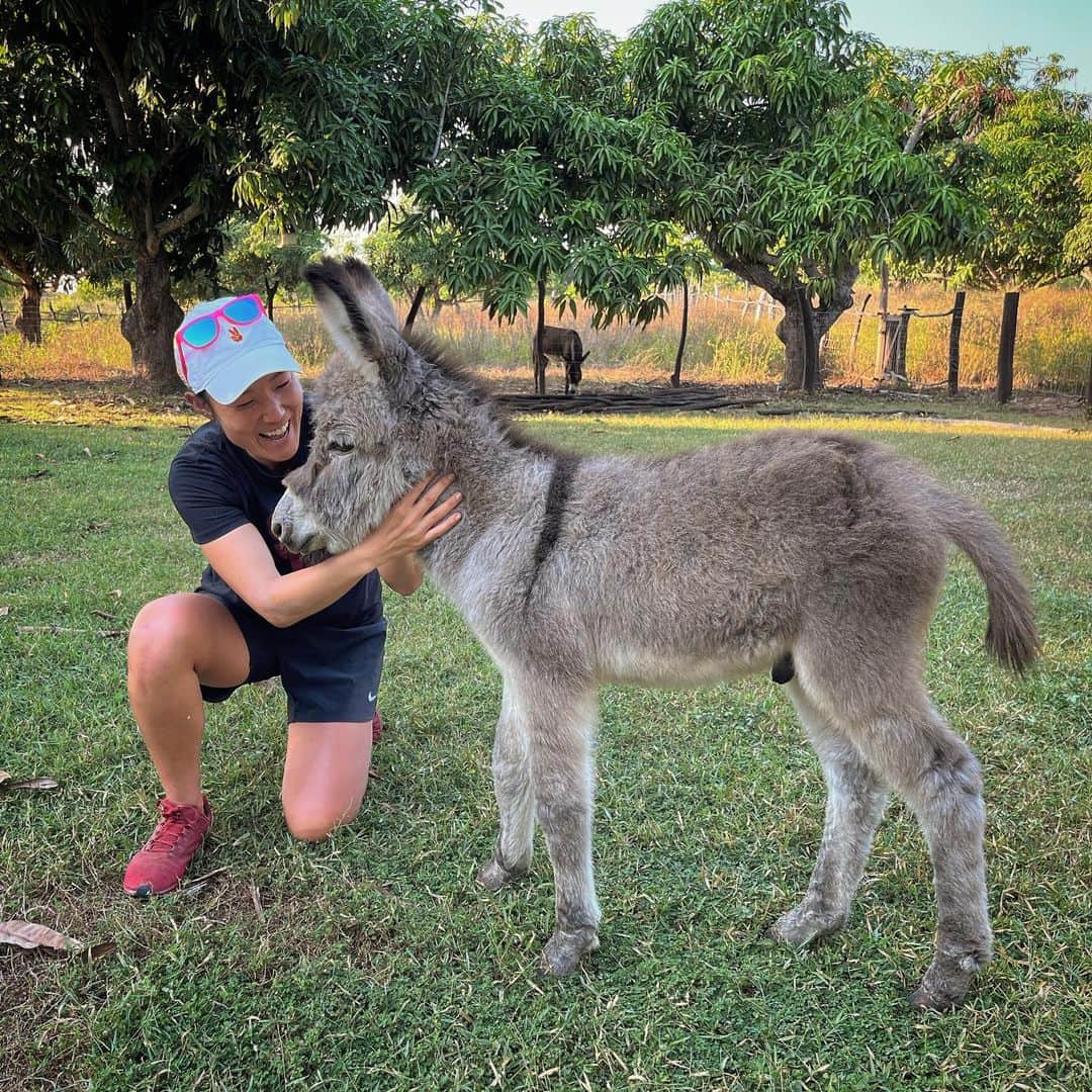 ティファニー・ヨハのインスタグラム：「That’s one cute ass! #BabyBlue @saladitafarmco ( 📸: @sirensurfadventures )」
