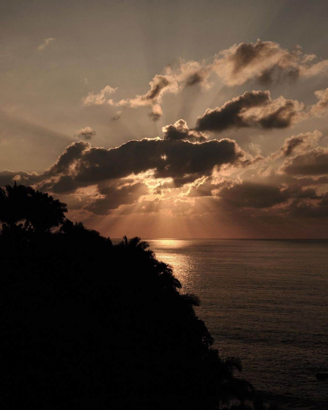 C E R E A Lさんのインスタグラム写真 - (C E R E A LInstagram)「On the Nayarit coast 🇲🇽」12月14日 5時27分 - cerealmag