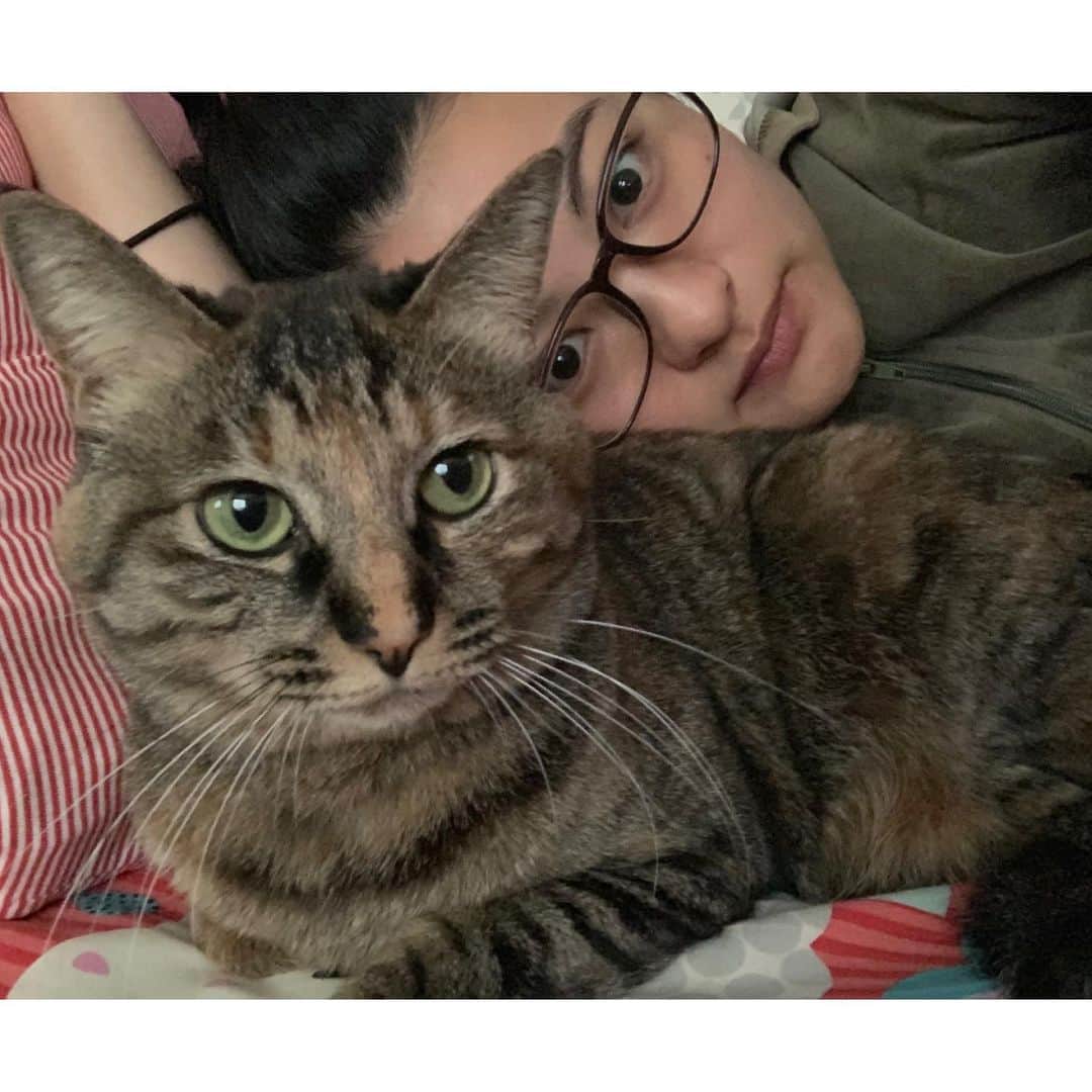 近藤祥子のインスタグラム：「🌈 今朝、突然、 猫のれんちゃんが遠くに旅立ちました。 . 9歳7ヶ月でした。 早いなぁ🥲 . あまりどころではなく、全然懐かない子だと思っていたけど、 改めて写真を見返すと、 れんちゃんなりに懐いていたようです😚💗 . れんれん、ありがとう。」