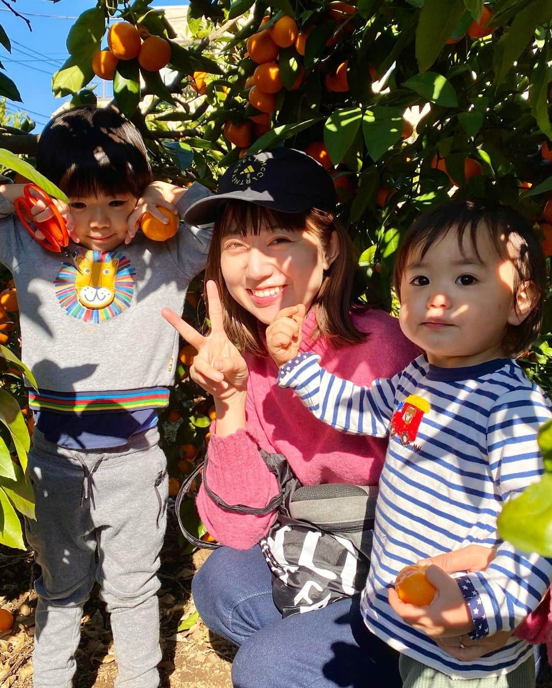 のインスタグラム：「. 明日12月15日（木）14:45〜 関西テレビ　#スロイジ　に出演します✨ ぜひ！ご覧ください〜😍！  写真はみかん狩りに行ったときの。 ひたすら収穫する長男と、 食べる専門の次男🥹 2人とも楽しそうで何よりでした🤣  40個以上収穫し持ち帰ったので 我が家は毎日みかん食べ放題です❤️ #みかん農家さんに感謝　#みかん狩り #男の子ママ　#男の子ママと繋がりたい  #子育て  #イヤイヤ期」
