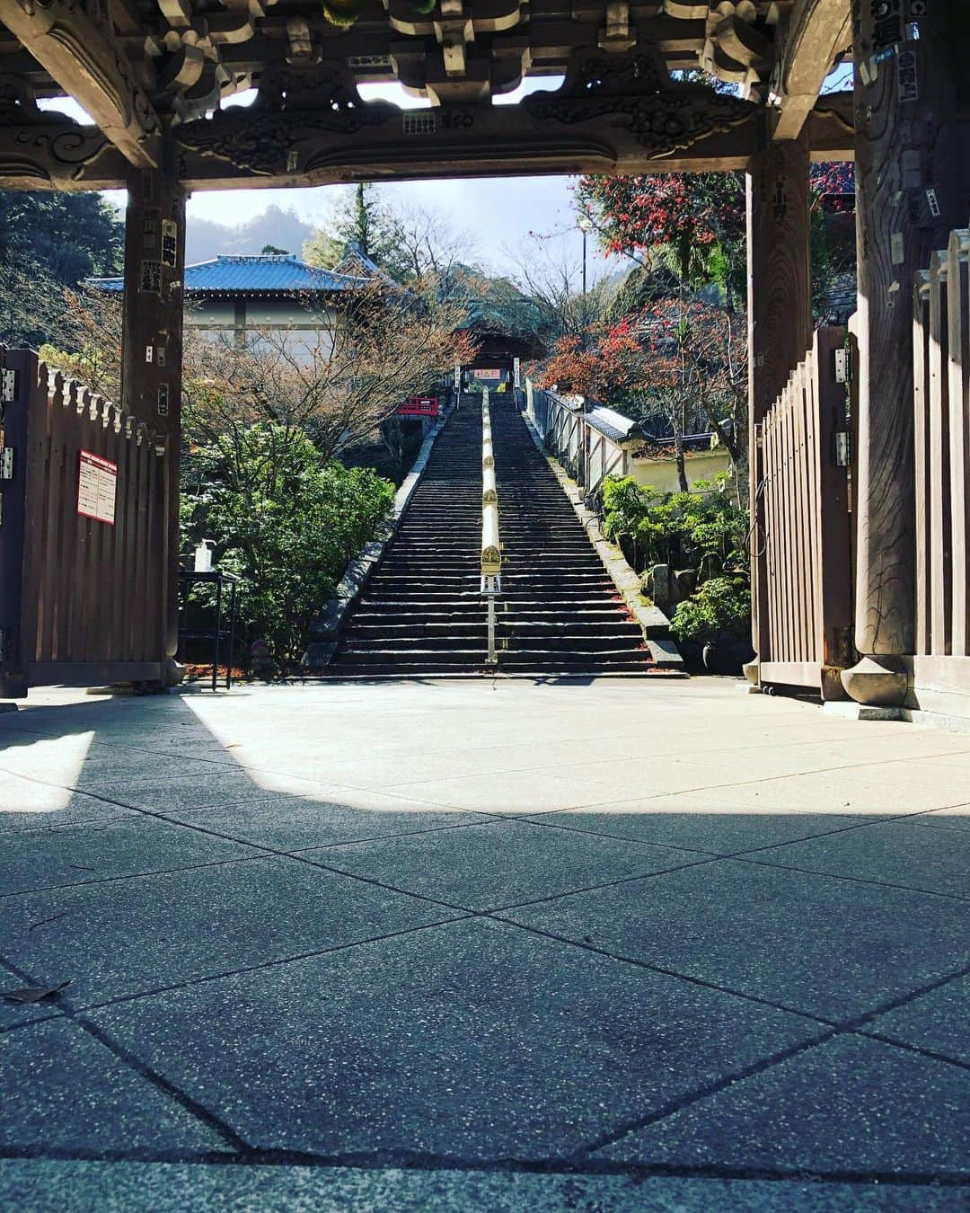 廣瀬純さんのインスタグラム写真 - (廣瀬純Instagram)「今日は宮島でじゅん散歩😊  厳島神社⛩やっぱりいいですね。  大聖院に初めて行きましたが、沢山のお地蔵さんがあり、楽しかったです😉  お祈りは、選手の成長を祈願しました。 また来年もキャンプ前にお参りしたいです⛩  厳島神社のおみくじは、まさかの26番 本当ビックリいたしました。  ご縁があるのかなと。  ダルマは安仁屋さんに似てました🤣  またじゅん散歩お伝えします🚶  #だるまは安仁屋さん似 #26にご縁 #厳島神社 #大聖院  #じゅん散歩 #チカのお土産は犬用もみじ🍁」12月14日 18時30分 - hirose.75