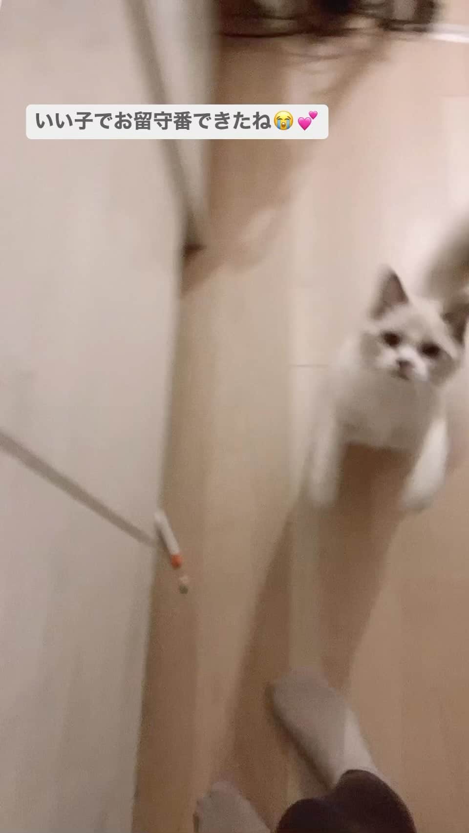 日向葵衣のインスタグラム