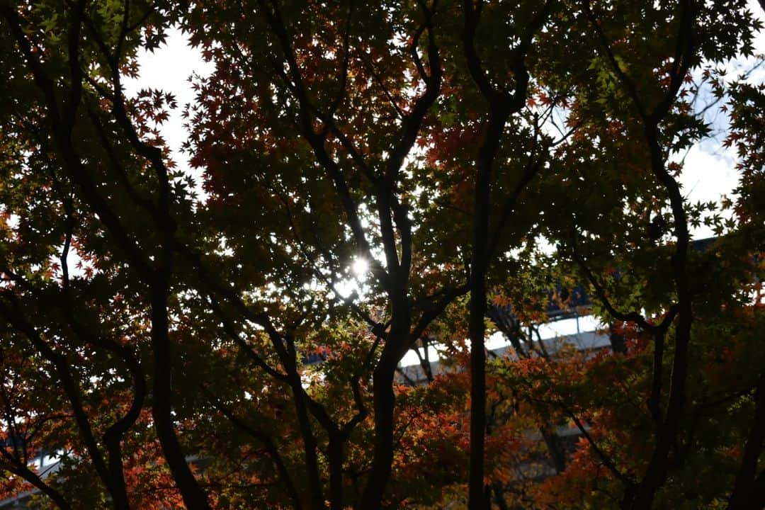 丸本凛さんのインスタグラム写真 - (丸本凛Instagram)「#横浜#yokohama#photooftheday」12月14日 21時24分 - rinmarumoto