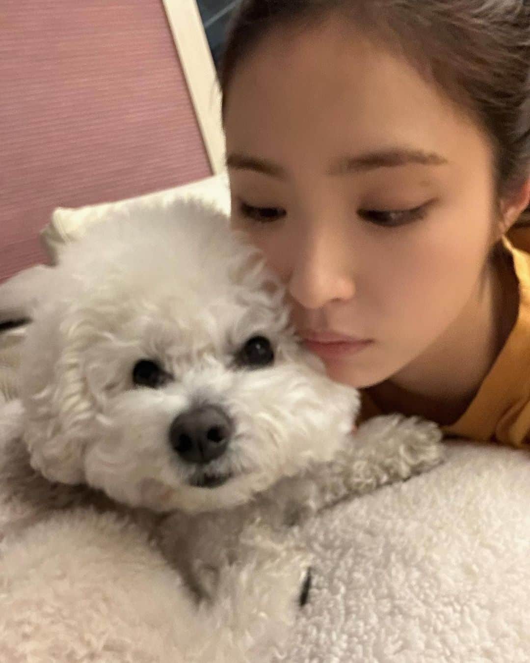 シン・セギョンのインスタグラム：「랑이일까 국이일까 (정답:신진국💛 사랑이 닮게 나왔죠..? 사진이..😌)」