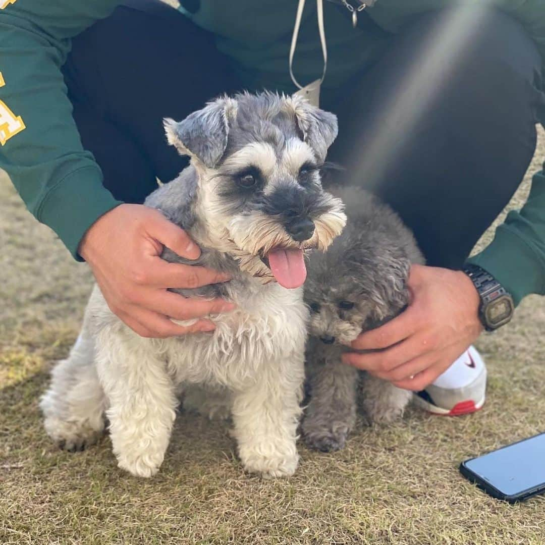 畠山愛理さんのインスタグラム写真 - (畠山愛理Instagram)「☀🐾」12月15日 5時47分 - airihatakeyama