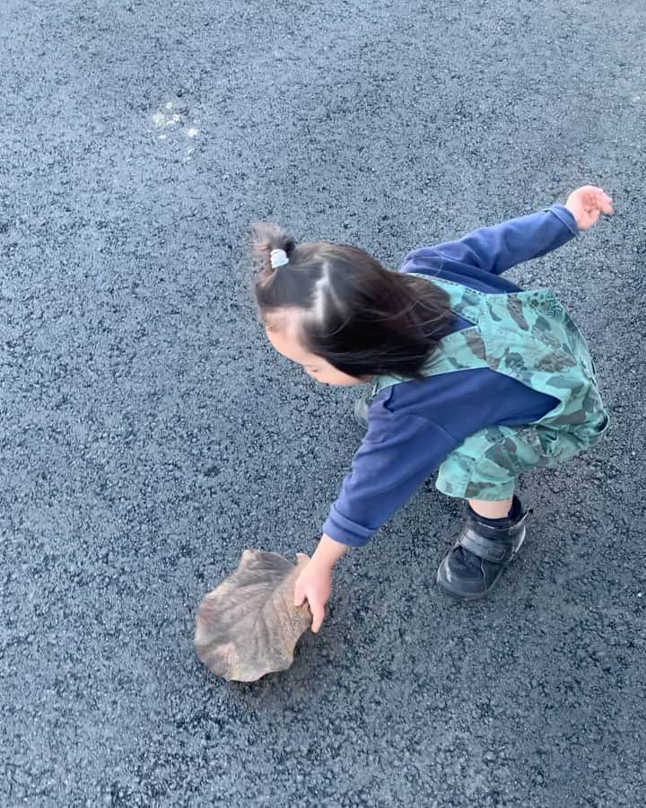 桜田聖子のインスタグラム：「おはようございます😊  全くInstagramを更新しないまま、気づけば今年もあと僅か😆  毎日がなんて早いんだっ‼️  皆さん、お元気ですか❓  テルマは元気いっぱい過ごしています❣️  先日、自治会で行われた焼き芋のイベントに行ってきました🍠  ネェネの隣に座ってモグモグ😊 サツマイモ、大好きなので、食べまくってました😋  お外で食べるとまた美味しいんですよねー👍🏻  帰りは葉っぱと遊びながら帰ってきました🍁  最近は、色々な事に興味をもって、沢山の事を真似るのが楽しいテルマ😊  葉っぱを追いかけたり、風にふかれる葉っぱを、クルクル回って真似したり😉  テルマにとっては、枯葉も大事なお友達かな💕  年末年始、元気に過ごせますように❣️  #downsyndrome #specialneeds #trisomy21 #ダウン症 #ダウン症候群 #トリソミー21 #3歳10ヶ月 #成長記録 #生まれてきてくれてありがとう  #心室中隔欠損症  #男の子ママ  #男の子 #boy #ダウン症ボーイ #trisomy21boy」