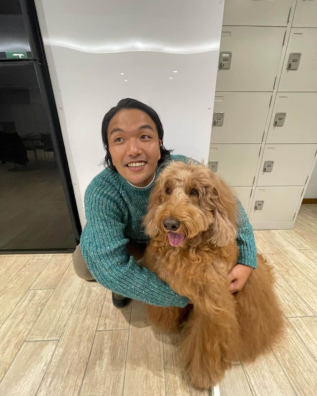 のインスタグラム：「武蔵坊と感動の再会！もう俺と暮らそうや！  #日本郵便 #年賀状」