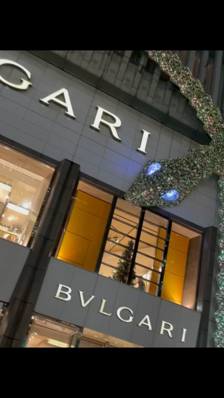 アキラ・コンチネンタル・フィーバーのインスタグラム：「#クリスマス　#merrychristmas  #ginza #銀座」