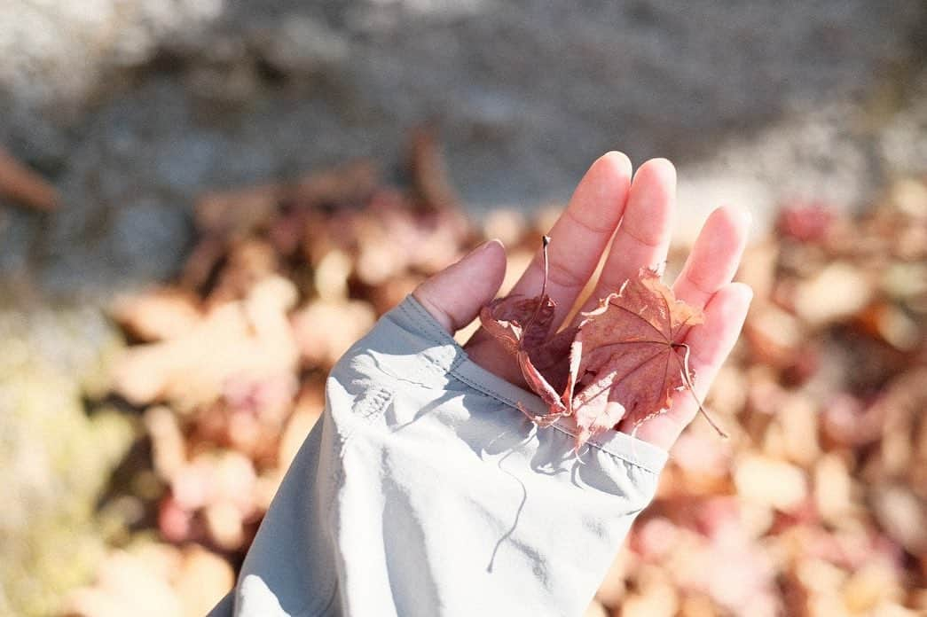 大慈弥レイさんのインスタグラム写真 - (大慈弥レイInstagram)「2年ぶり4回目ぐらいの山登り⛰ ⁡ 今回は 山登り師匠 @rrrr1039  と 愉快な仲間たち @_norimai_  @erinadawkins  で行きました！ ⁡  年1、いや、年2回ぐらいは行きたいなぁ😚😚  いつも素敵な写真をありがとう！！ @_norimai_ @rrrr1039」12月15日 21時02分 - rei_ojimi