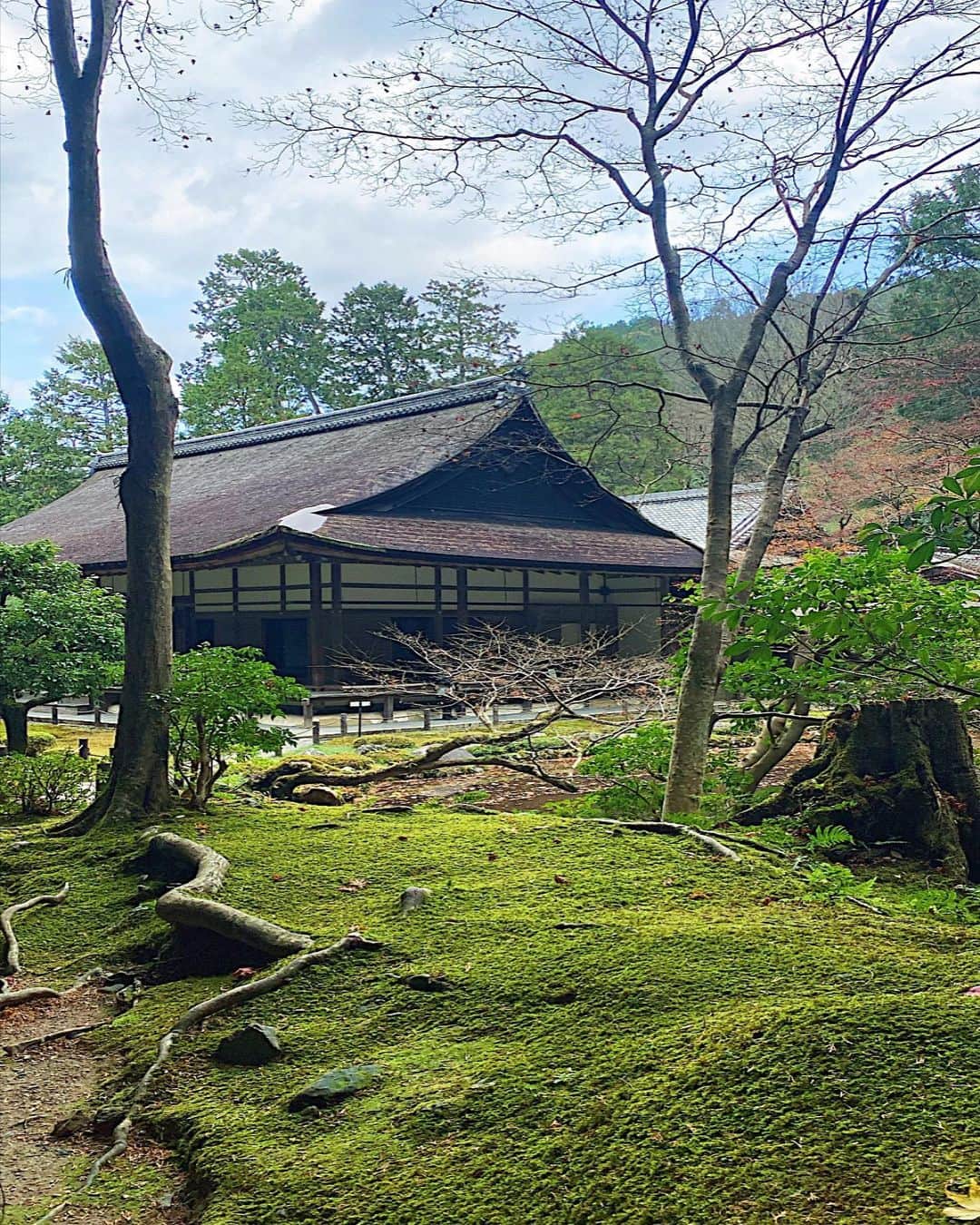 天野ちよのインスタグラム：「#kyoto 🌿」