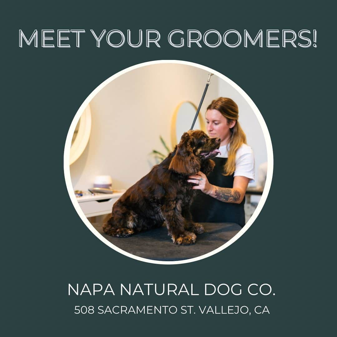 Dogs by Ginaのインスタグラム：「We thought it was time to introduce the grooming team here at Napa Natural Dog Co!   Gina, Amber, Miranda, Makalea, and Omar are all ready to help your dog look their best. Swipe through to learn a little more about each groomer and what they specialize in!」