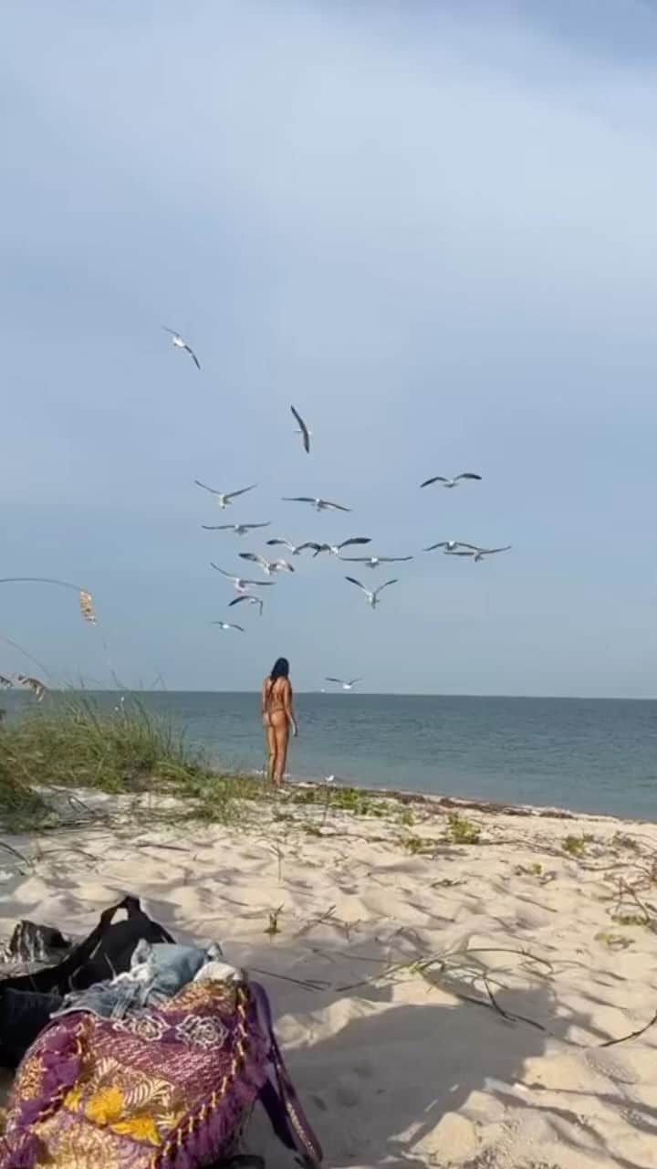 Herizen Guardiolaのインスタグラム：「Had to post the full video so you guys could see how these birds were properly coming for me (don’t eat tuna sandwiches at the beach) 😂😭」